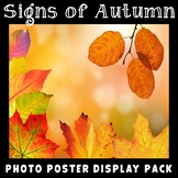 Signs of Fall Posters | Real Photos | Science Display FREE