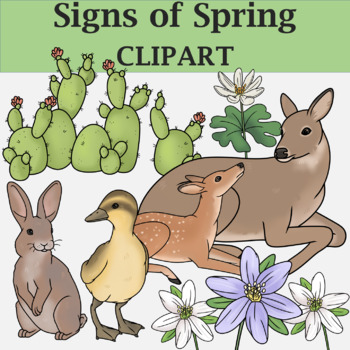 Preview of Signs of Spring Clip Art - Plants and Animals of the Spring Season