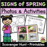 Signs of Spring Activities and Photos for Preschool