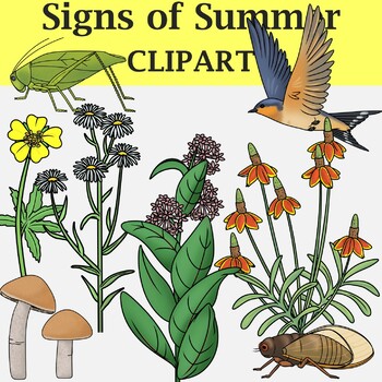 Preview of Signs of Summer Clip Art - Plants and Animals of the Summer Season