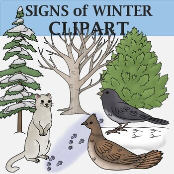 Preview of Signs of Winter Clip Art - Plants and Animals of the Winter Season