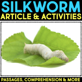 Silkworm Life Cycle, Animal Research Nonfiction Reading Pa