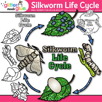 Silkworm construction and life cycle - 10 models on the board - jangar.pl