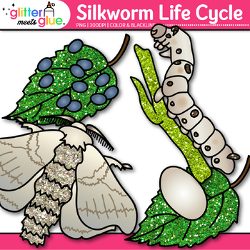 silk worm clip art
