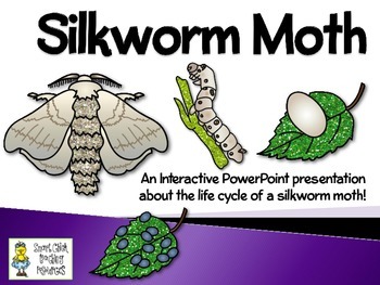 Preview of Silkworm Moth ~ An Interactive PowerPoint Presentation of their Life Cycle