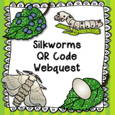 Silkworms QR Code Web Quest and Lifecycle Poster
