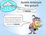 Silly Synonym and Auntie Antonym Powerpoint