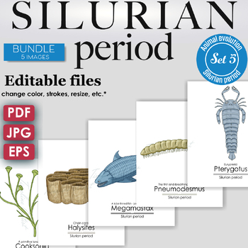 Preview of Silurian Period Colorful Bundle: Cooksonia, Halysites, Megamastax, Pneumodesmus