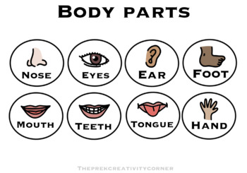 Preview of Simple Body Parts Clip Art Illustrations