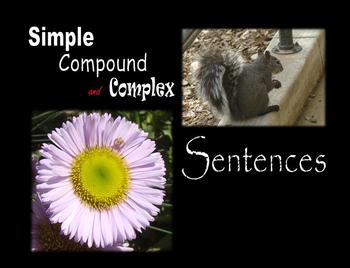 Preview of Simple, Compound and Complex Sentences PowerPoint