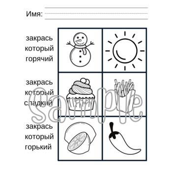 Preview of Simple Concepts in Russian Coloring Worksheet!!