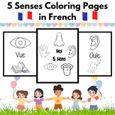 Simple French 5 Senses Coloring Pages for PreK and K Kids 