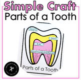 Simple Label Parts of a Tooth Craft