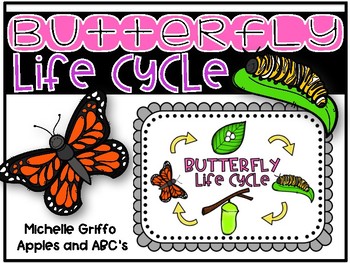 Preview of Life Cycle of a Butterfly: 4 stages
