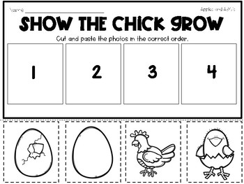 Life Cycle of a Chick Unit 4 stages by Michelle Griffo from Apples