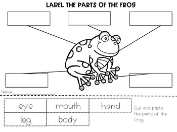 Life Cycle of a Frog Unit {3 stages or 6 stages} | TpT