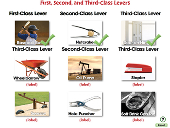 first class levers
