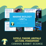 Simple Marine Animals - Marine Biology Unit 4 - FULL