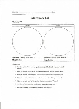 Preview of Simple Microscope Lab