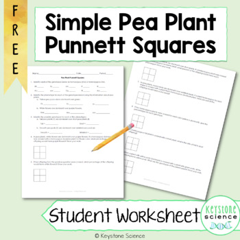 Preview of FREE Simple Punnett Square Practice Problems Biology Genetics