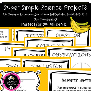 Preview of Simple Science Project for grades 2nd-4th