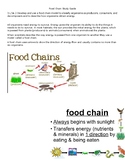 Simple Science Study Guides - Food Chain