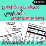 Simple Science VISUAL Experiment: Snowstorm in a Jar {FREEBIE}