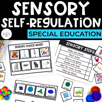 Preview of Simple Sensory Self-Regulation | Choice Boards + 45 Request Cards | Special Ed