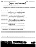 Simple or Compound? - Sentence Structure Practice Worksheet