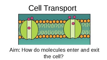 Preview of Simplified Cellular Transport PowerPoint