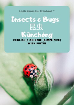 Preview of Simplified Chinese & English Flash Cards With Pinyin - Insects & Bugs