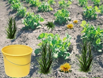 Preview of Virtual Gardening Activity