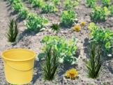 Virtual Gardening Activity