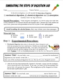 Simulating the Steps of Digestion Lab - All Materials with