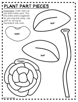 Singin' To Learn Science! {Plants Have Special Parts} by Class of Kinders