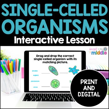 Preview of Single-Celled Organisms Interactive Lesson