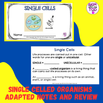 Preview of Single Celled Organisms Adapted Notes and Review