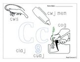 Single Consonant Words Worksheets