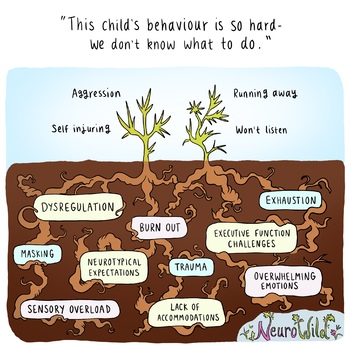 Preview of Single image: Underlying causes of behaviour