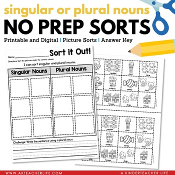 Preview of Singular and Plural Nouns Sort