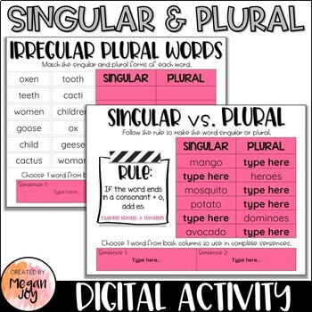 Preview of Singular & Plural Nouns Digital Activity - Distance Learning