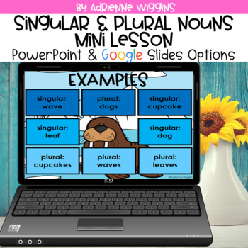 Preview of Singular & Plural Nouns Mini Lesson (PPT & Google Classroom) Distance Learning