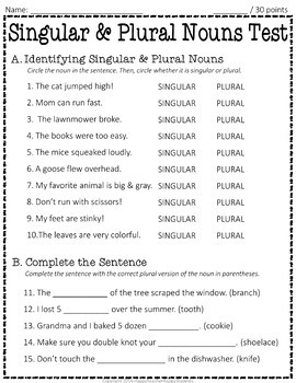 singular plural nouns test 2 page quiz with answer key
