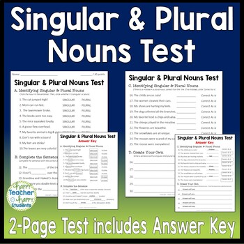 Singular & Plural Nouns Test: 2-Page Quiz with Answer Key | TpT