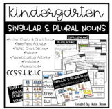 Singular & Plural Nouns for Kindergarten {CCSS.L.K.1.C}