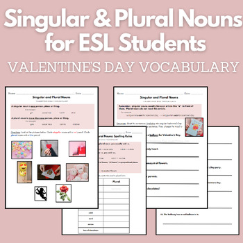 Preview of Singular & Plural Nouns with Valentine's Day Vocabulary for ESL Students (EFL)