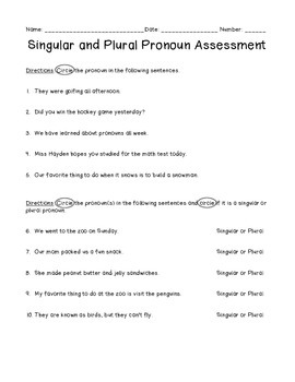 Singular & Plural Pronoun Assessment by Laura Hayden | TpT