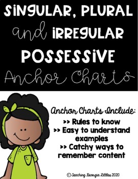 Preview of Singular, Plural and Irregular Plural Possessive Nouns [Anchor Charts]