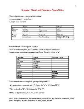 Preview of Singular, Plural, and Possessive Nouns Notes