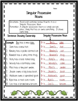 singular possessive noun worksheets by janeice wright tpt